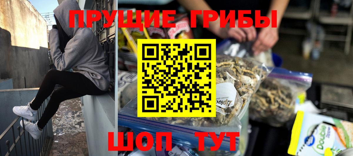 Галлюциногенные грибы Psilocybe Десногорск