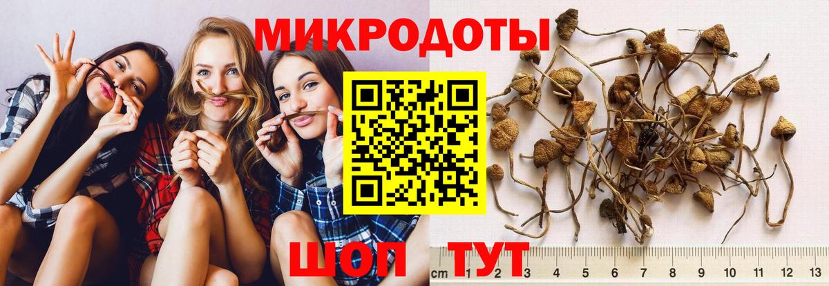 Галлюциногенные грибы Cubensis  Галлюциногенные грибы GOLDEN TEACHER  сколько стоит  Десногорск  Вход с VPN 